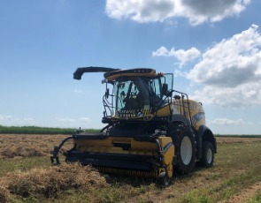 Кормоуборочный комбайн New Holland FR650. Сила и мощь с полей для здорового рациона крупного рогатого скота